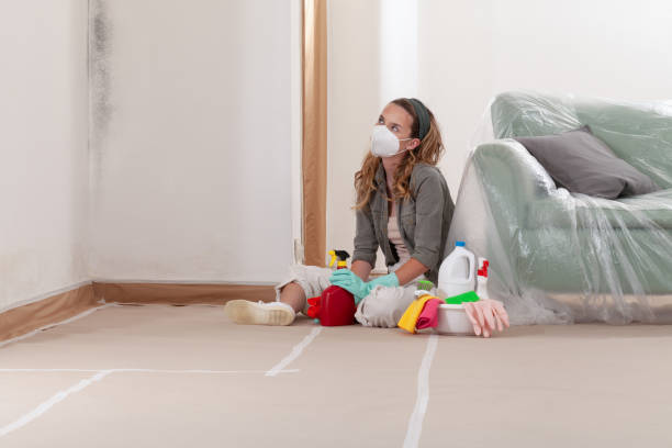 Reliable Commercial Mold Remediation contractor in Lexington, KY by Car Mold Remediation
